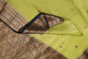 Banarasi kora ( organza) silk saree in gram green with  gold motifs.