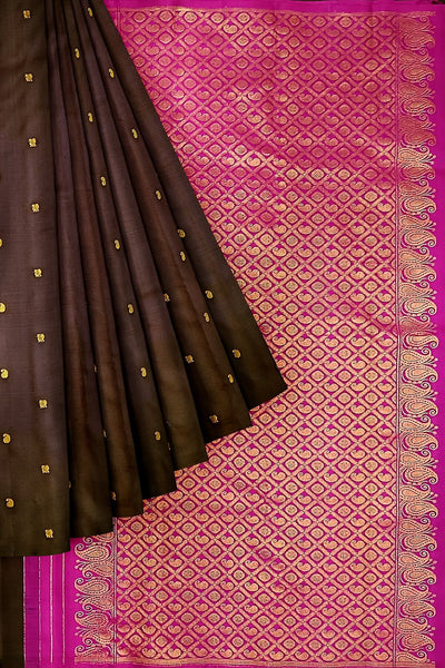 Kanchi borderless pure silk saree in brown