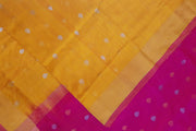 Handloom Uppada pure silk saree in mustard with small  buttas