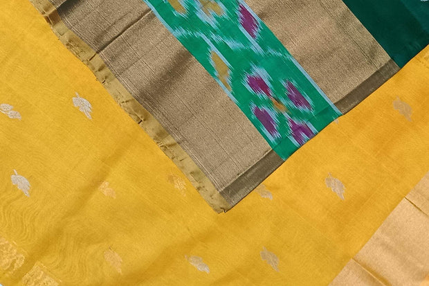 Handwoven Uppada pure silk saree in bottle green with Pochampally border.